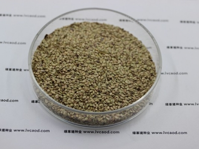 百喜草草籽多少錢一斤，一畝地需要多少種子？