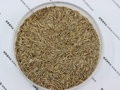 高羊茅種子的零售價(jià)格大約是多少？