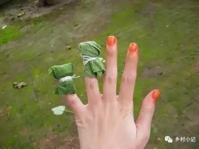 【中國鳳仙】鳳仙花怎么種植？