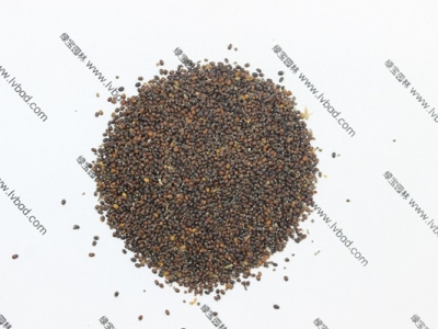 進(jìn)口薄荷種子哪里有賣,購(gòu)買注意事項(xiàng)有哪些