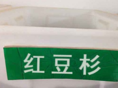 紅豆杉種子幾月份播種最好？