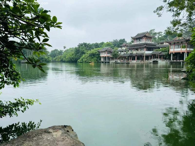 風(fēng)景園林